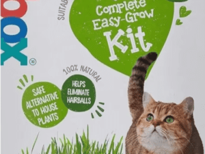 Cat Grass