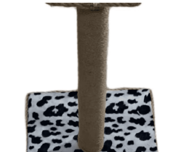 Cat-HandMade Scratch Leopard