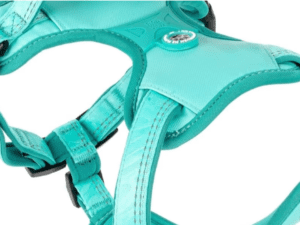 Dog Hurnesses