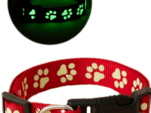 Glow Collar