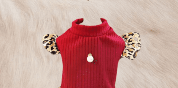 clothes for pets