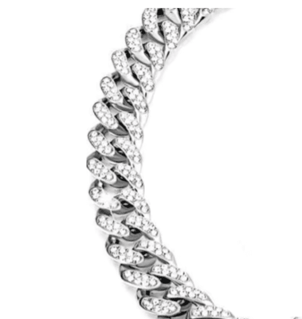 Κολιέ για κατοικίδια – Silver Strass Chain