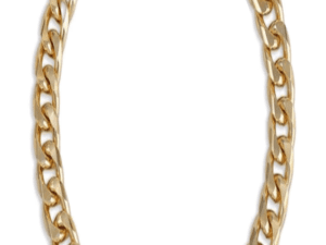 Κολιέ για κατοικίδια – Gold Chain