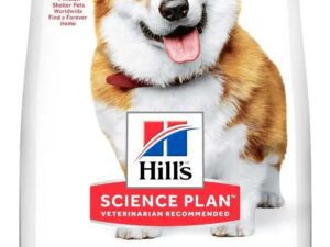 Ξηρά Τροφή Σκύλου - Hill's Science Plan NO GRAIN MEDIUM ADULT DOG FOOD with CHICKEN 2.5 KG