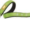 Dual CF - Image 2