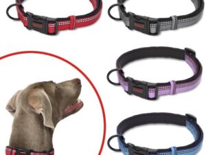 Γιακά Halti - Halti Collar