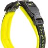 Κολάρο αθλητικού σκύλου - Sport Dog Collar