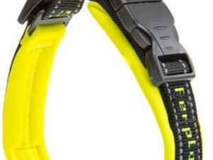 Κολάρο αθλητικού σκύλου - Sport Dog Collar