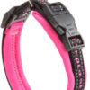 Κολάρο αθλητικού σκύλου - Sport Dog Collar - Image 3