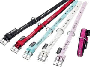Κολάρο ALP Monte Carlo - ALP Collar Monte Carlo