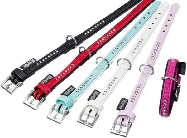 Κολάρο ALP Monte Carlo - ALP Collar Monte Carlo