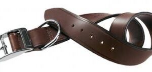 VIP Collar