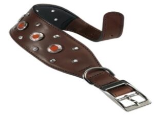 VIP CSW Collar