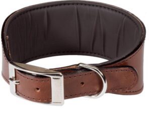 VIP CW Collar