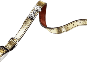 Χρυσό γιακά Moda - Moda Gold Collar