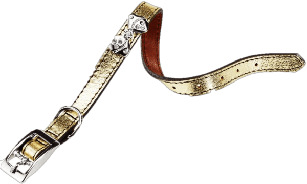 Χρυσό γιακά Moda - Moda Gold Collar