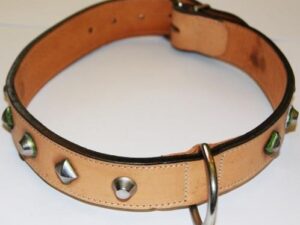 Δερμάτινο γιακά με καρφίτσες - Leather Collar With Pins