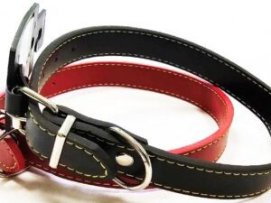 Δερμάτινο κολάρο σκύλου με επένδυση - Leather Dog Collar With Padding