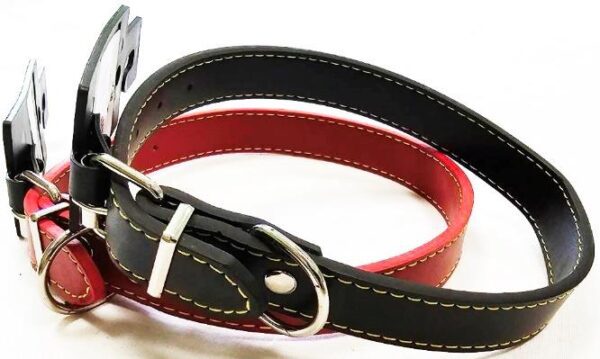 Δερμάτινο κολάρο σκύλου με επένδυση - Leather Dog Collar With Padding
