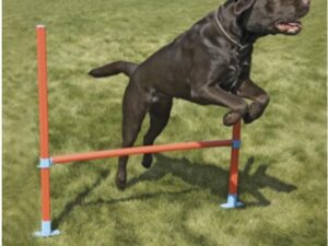 Εμπόδιο ευκινησίας W/Bag - Agility Hurdle  W/Bag