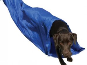 Agility Tunnel