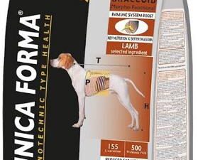 Unica Forma Braccoid Ενήλικος Ενεργός - Unica Forma Braccoid Adult Active