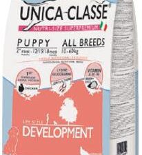 Σκύλος Unica Class κουτάβι - Dog Unica Class Puppy