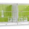 Lacento - Image 3
