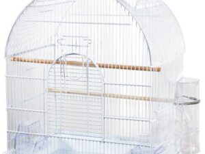 καθεδρικός ναός κλουβί πουλιών - Bird Cage Cathedral