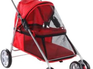 Buggy Damio Red