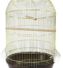 Κλουβί πουλιών - Bird Cage