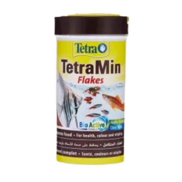 Fish Food