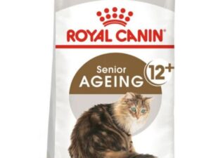 Royal Canin Cat Food