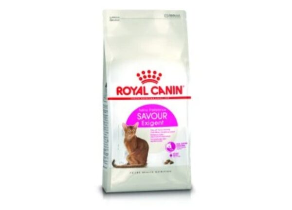 Royal Canin Cat Food