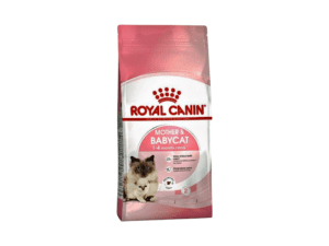 Royal Canin Cat Food