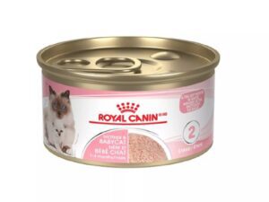 Royal Canin Cat Food