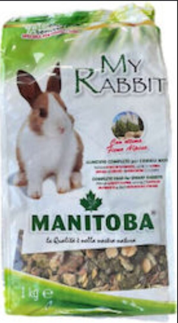Rodent Food