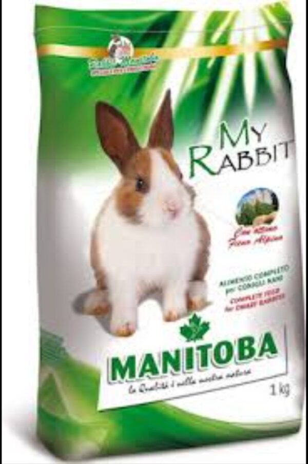 Rodents Food