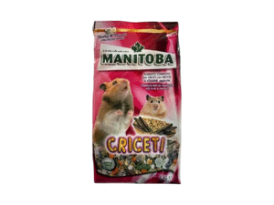 Rodents Food