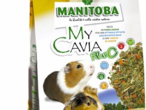 Rodent Food