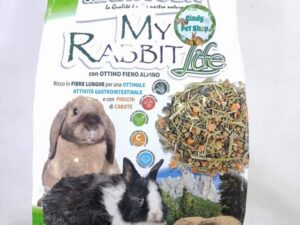 Rodent Food