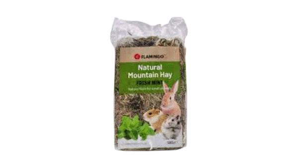 Rodent Food
