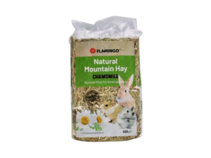 Rodent Food