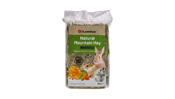 Rodent Food