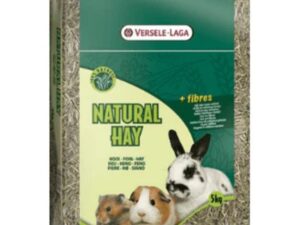 Rodent Food