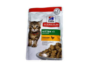 Wet Food Dog