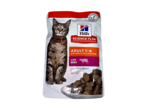 Cat Wet Food