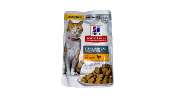 Wet Food Cat
