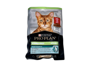 Wet Food Cat