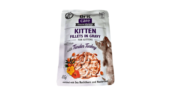 Cat Food Wet
